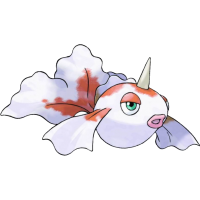 The superior orange and white fish